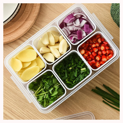 Clear Polypropylene BPA Free Veggie Food Storage Container