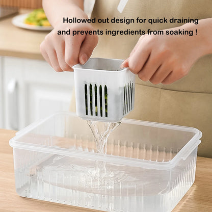 Clear Polypropylene BPA Free Veggie Food Storage Container