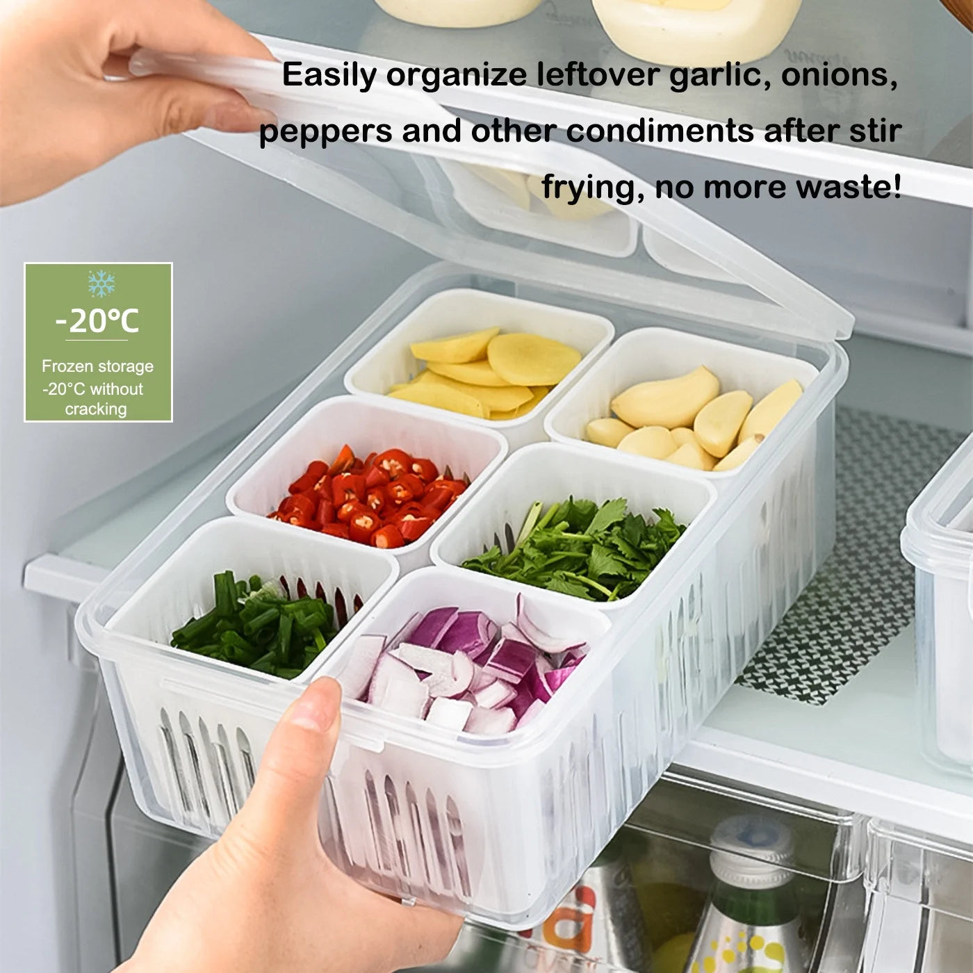 Clear Polypropylene BPA Free Veggie Food Storage Container